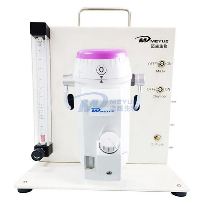 M5280 Dingle channel desktop small animal anesthesia machine