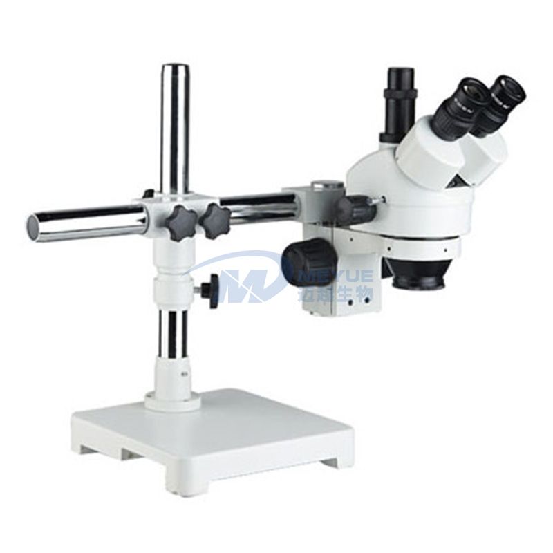 SM20+3411B continuous zoom stereomicroscope